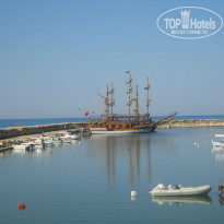 фото из отзыва ID 973931