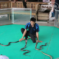 фото из отзыва ID 973647