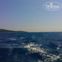 фото из отзыва ID 973584