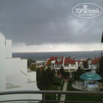 фото из отзыва ID 974111