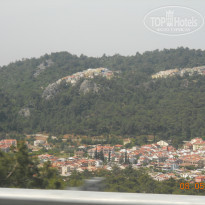 фото из отзыва ID 974174