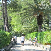 фото из отзыва ID 974174