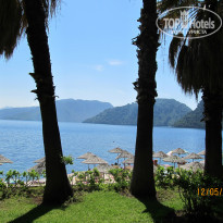 фото из отзыва ID 974174