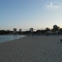 фото из отзыва ID 974259