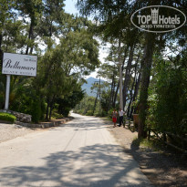 фото из отзыва ID 974295