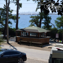 фото из отзыва ID 974295