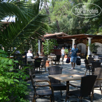 фото из отзыва ID 974295