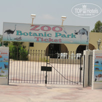 фото из отзыва ID 974431