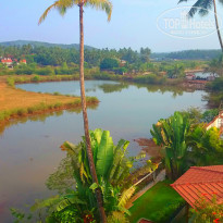 фото из отзыва ID 974534