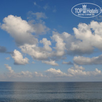 фото из отзыва ID 974598