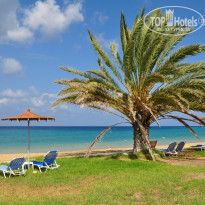 фото из отзыва ID 974598