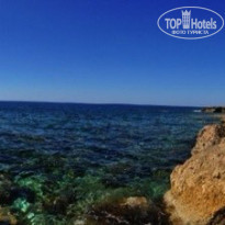 фото из отзыва ID 974850