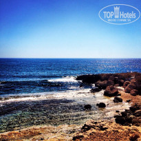 фото из отзыва ID 974850