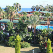 фото из отзыва ID 974885