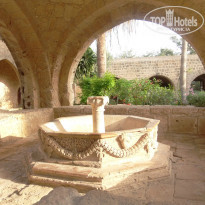 фото из отзыва ID 974960