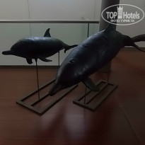 фото из отзыва ID 974960