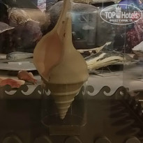 фото из отзыва ID 974960