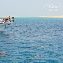 фото из отзыва ID 974965