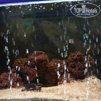 фото из отзыва ID 974563