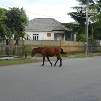 фото из отзыва ID 974758