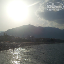 фото из отзыва ID 974643