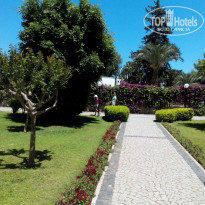 фото из отзыва ID 974643