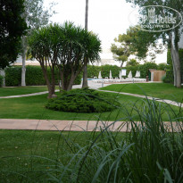 фото из отзыва ID 974977