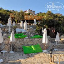 фото из отзыва ID 97569