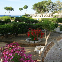 фото из отзыва ID 975022