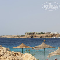 фото из отзыва ID 975045