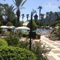 фото из отзыва ID 975124