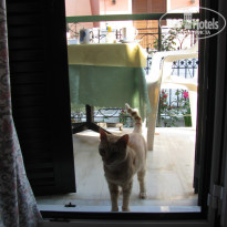 фото из отзыва ID 975113