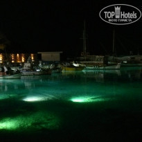 фото из отзыва ID 975195