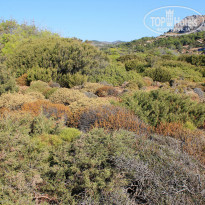 фото из отзыва ID 975287