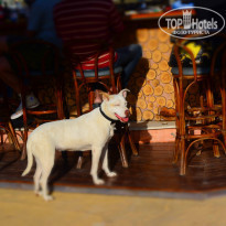 фото из отзыва ID 975248