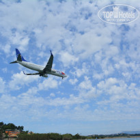 фото из отзыва ID 975248