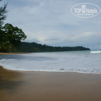 фото из отзыва ID 975413