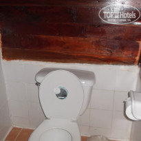 фото из отзыва ID 975504