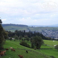 фото из отзыва ID 975884