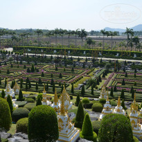 фото из отзыва ID 975392