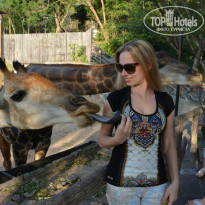 фото из отзыва ID 975392