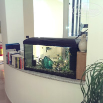 фото из отзыва ID 976079