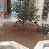 фото из отзыва ID 976200