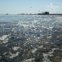 фото из отзыва ID 976362