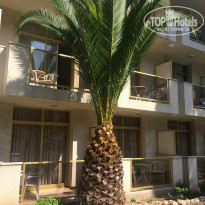 фото из отзыва ID 976639