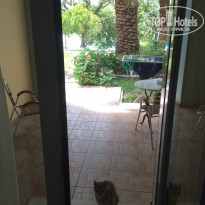 фото из отзыва ID 976829