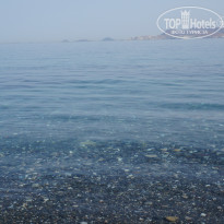 фото из отзыва ID 976957