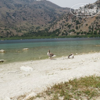 фото из отзыва ID 976244