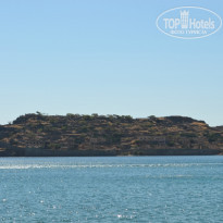 фото из отзыва ID 976856