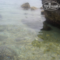 фото из отзыва ID 976108